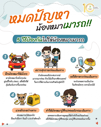 หมดปัญหา น้องหมาเมารถ